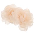 thumbnail image 1 of Shisuyan 2Pcs Detachable Flower Shoe Clips Elegant Cloth Accessories for Women, 1 of 8