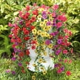 thumbnail image 1 of Flores artificiales colgantes Playieer, 6 ramos, resistentes a los rayos UV, 1 of 8