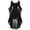 Black, variant on Women's Hooded Dress with Lace-Up Bodice and Bell Sleeves