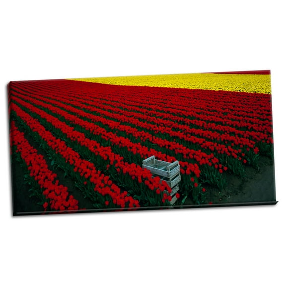 Gango Home Decor Contemporary Spring Tulips by Ike Leahy (Ready to Hang); One 20x8in Hand-Stretched Canvas