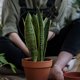 thumbnail image 2 of GOOHOCHY Marco de hierro para plantas trepadoras, soporte para plantas trepadoras, enrejado para plantas, suministros de jardín, 2 of 8