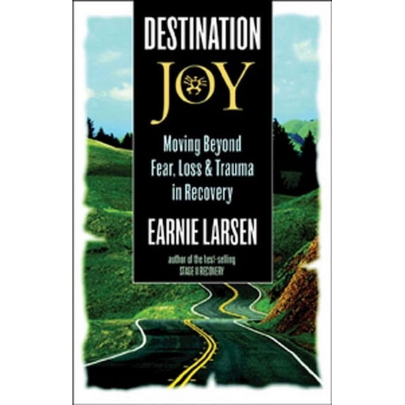 Destination Joy : Moving Beyond Fear. Loss, and Trauma in Recovery. (Paperback)