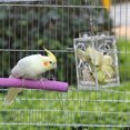 thumbnail image 4 of Bird Bite Toy Creative Acrylic Training Bird Foraging Toy Parrot Hanging Toy, 4 of 5