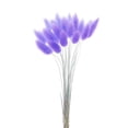thumbnail image 1 of Hierba secas naturales pa decoración pa , flores de hierba seca, ramo , accesorios pa fotografía, en y púrpura perfecl hierba de pampa seca, 1 of 6
