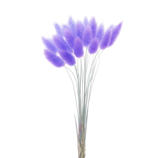 Hierba secas naturales pa decoración pa , flores de hierba seca, ramo , accesorios pa fotografía, en y púrpura perfecl hierba de pampa seca