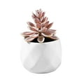 thumbnail image 2 of Ludlz Mini Fake White Ceramic Potted Succulents Artificial Plants - Faux Succulents Plants for Home , Office Shelf Decorations Artificial Multilayer Succulent Plant Bonsai for Home, 2 of 8