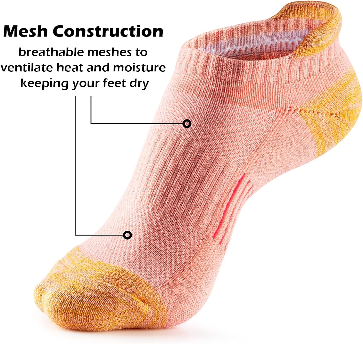Womens Ankle Socks 5 Pairs Cushioned Running Athletic No Show Socks With Tab