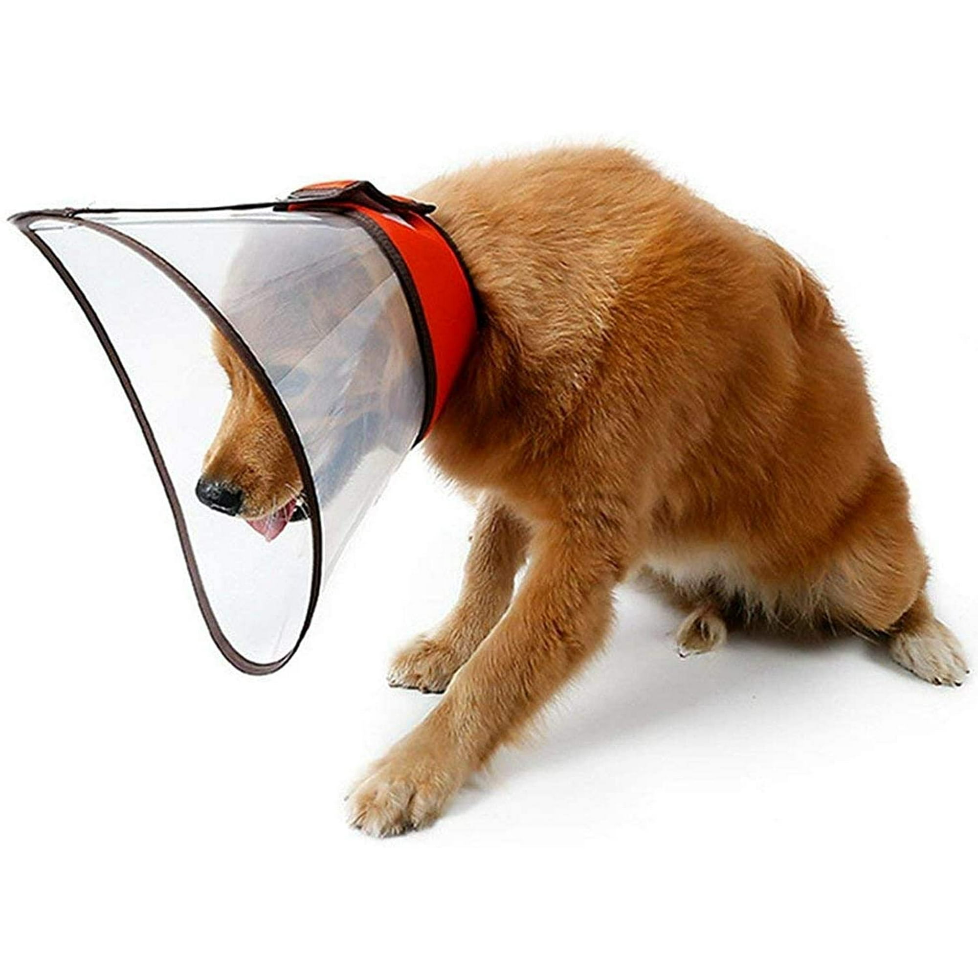 Lishi Extra Large Dogs Recovery Collar Cone Transparent Anti Scratch Comfy Quicker