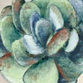 thumbnail image 2 of Loreth, Lanie 12x12 White Modern Wood Framed Museum Art Print Titled - Wonderful Succulent, 2 of 4