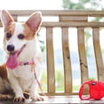 thumbnail image 3 of DOGNESS Retractable Dog Leash, with a Slide Locking System. Tangle Free, Waterproof Ribbon Tape,  for Small, Medium, Large Dogs. Extends to 10ft , holds pets up to 25lbs-Red, 3 of 7
