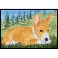 thumbnail image 1 of Carolines Treasures SS8016MAT Tapis Intérieur Extérieur 18 x 27 Po. Basenji, 1 of 4