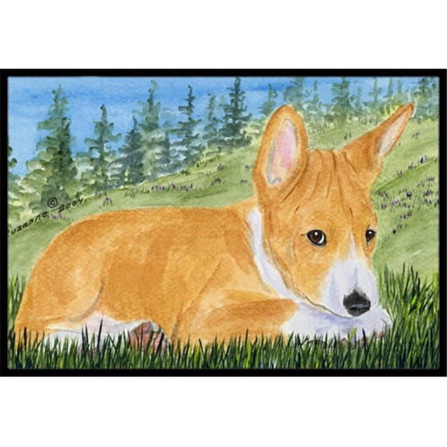 Carolines Treasures SS8016MAT Tapis Intérieur Extérieur 18 x 27 Po. Basenji