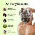 thumbnail image 4 of Sulfate Free Shampoo and Conditioner Set - Tea Tree Sage and Rosemary Shampoo and Conditioner for Dry Flaky Scalp Care - Deep Cleansing Color Safe Shampoo and Conditioner for Damaged Dry Hair Care, 4 of 9