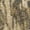 MossyOak Bottomland, variant on Mossy Oak Youth Hunting Camo Long Sleeve T-Shirt, Size XS-XL