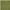 Green, variant on Well Woven Ciel Ivory Ultra-Soft Multi-Textured Shimmer Pile Area Rug 2x7 (2'3" x 7'3")