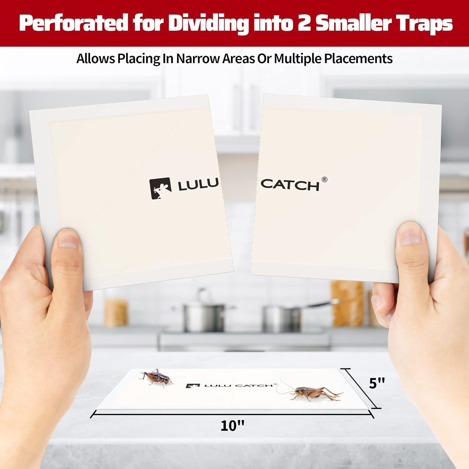 Cricket & Insect Glue Traps 24 Pack, Adhesive Bug Catcher, Pre-Baited Spider Scorpion Trap, Non-Toxic Boards Indoor for Home Catching Bugs, Mice Rodents, Pet Safe Pest Control