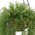 thumbnail image 3 of Faux Asparagus Fern Hanging Basket Beehive, 3 of 5