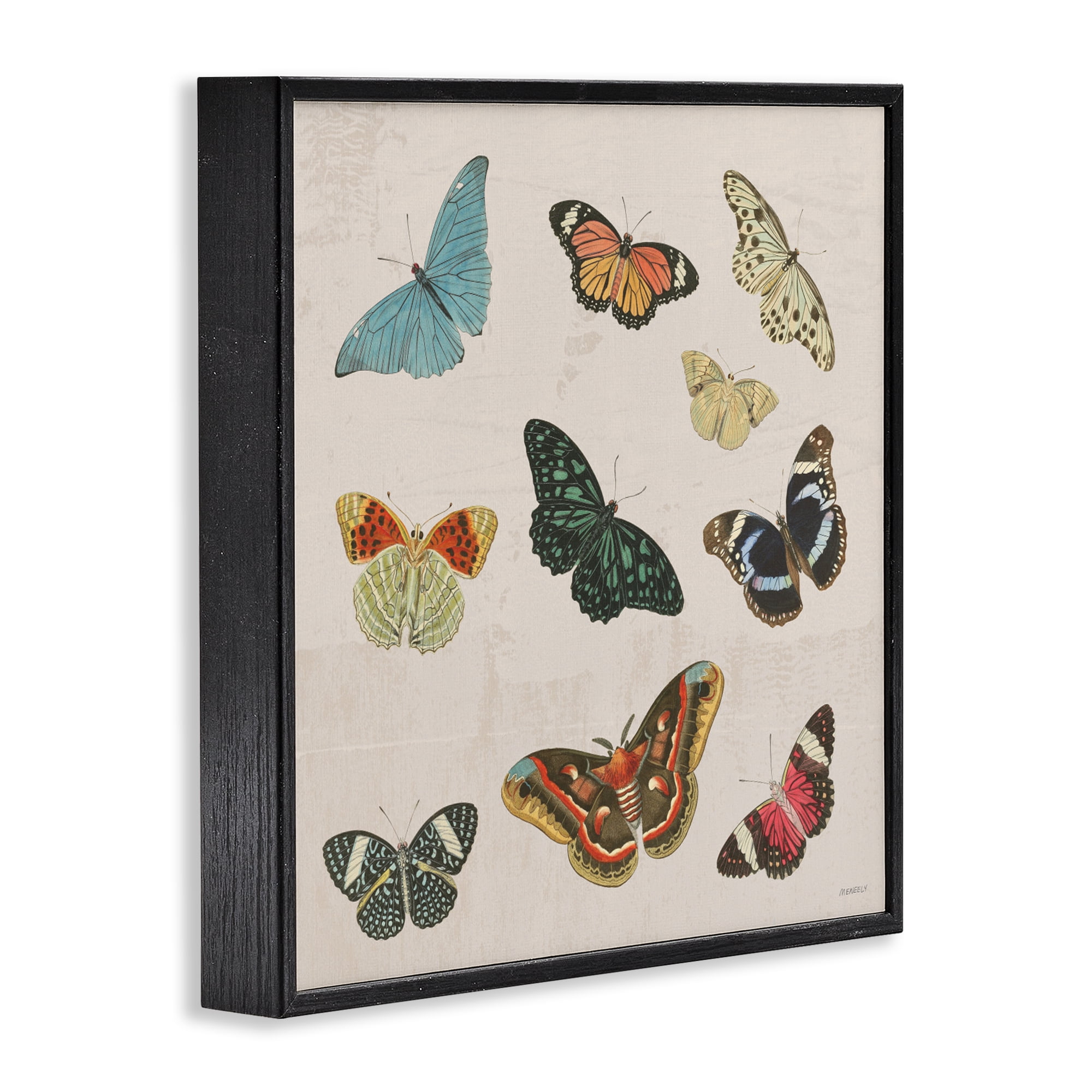 Stupell Industries Vintage Butterfly Flight Black Framed Giclee Art, design by Dan Meneely