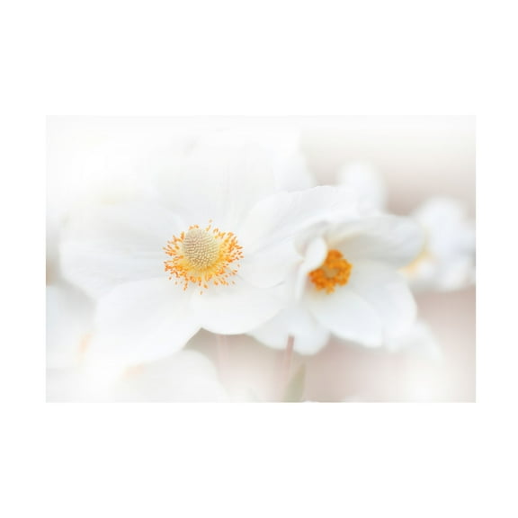 Trademark Fine Art Juliana Nan Her Name Is Loveiii Canvas Wall Art