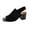 Black, variant on RUIYANQI Women's Leather Pointed Toe Ankle Boots - Chunky Heel Buckle Strap Booties, Trendy Rhinestone - Decorated Party Shoes, Stylish Side - Zip Dress Pumps, Comfortable Winter Evening Footwear