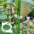 thumbnail image 3 of OIUR 100/200/300 Pcs Plant Clips Plastic Plant Support Clips Reusable Tomato Trellis Clips for Climbing Plants Vines Cucumbers Indoor Outdoor Use, 3 of 7