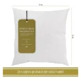 thumbnail image 1 of Relleno Premium Para Cojín Decorativo 50x50 Cm Marca Goût Goût Goût Home RELL50X50, 1 of 6