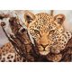 thumbnail image 3 of Cuadros Decorativos 11CT impreso completo punto de cruz DIY leopardo pintura a mano decoración de la sala de estar Ndcxsfigh Nuevos Originales, 3 of 9