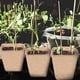 thumbnail image 4 of Arrancador de plantas, Macetas de turba para iniciadores de plantas Macetas de turba para iniciadores de plantas Plántulas de hortalizas Taza de vivero Diseñado con precisión, 4 of 6