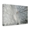 thumbnail image 4 of Victoria Ivanova 'As White As Snow' Canvas Art, 4 of 4
