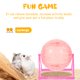thumbnail image 4 of Pelotas de ejercicio para mascotas pequeñas Pelotas de ejercicio para hámster Ruedas para correr para hámster, 4 of 5