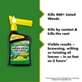 thumbnail image 3 of Spectracide Weed Stop for Lawns Ready-to-Spray Concentrate, 32 Ounces, 3 of 12