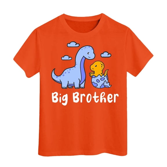 Hihipz Toddler Boys T-Shirt Dinosaur Big Brother Print Short Sleeve Tee Playful Cute Tshirt