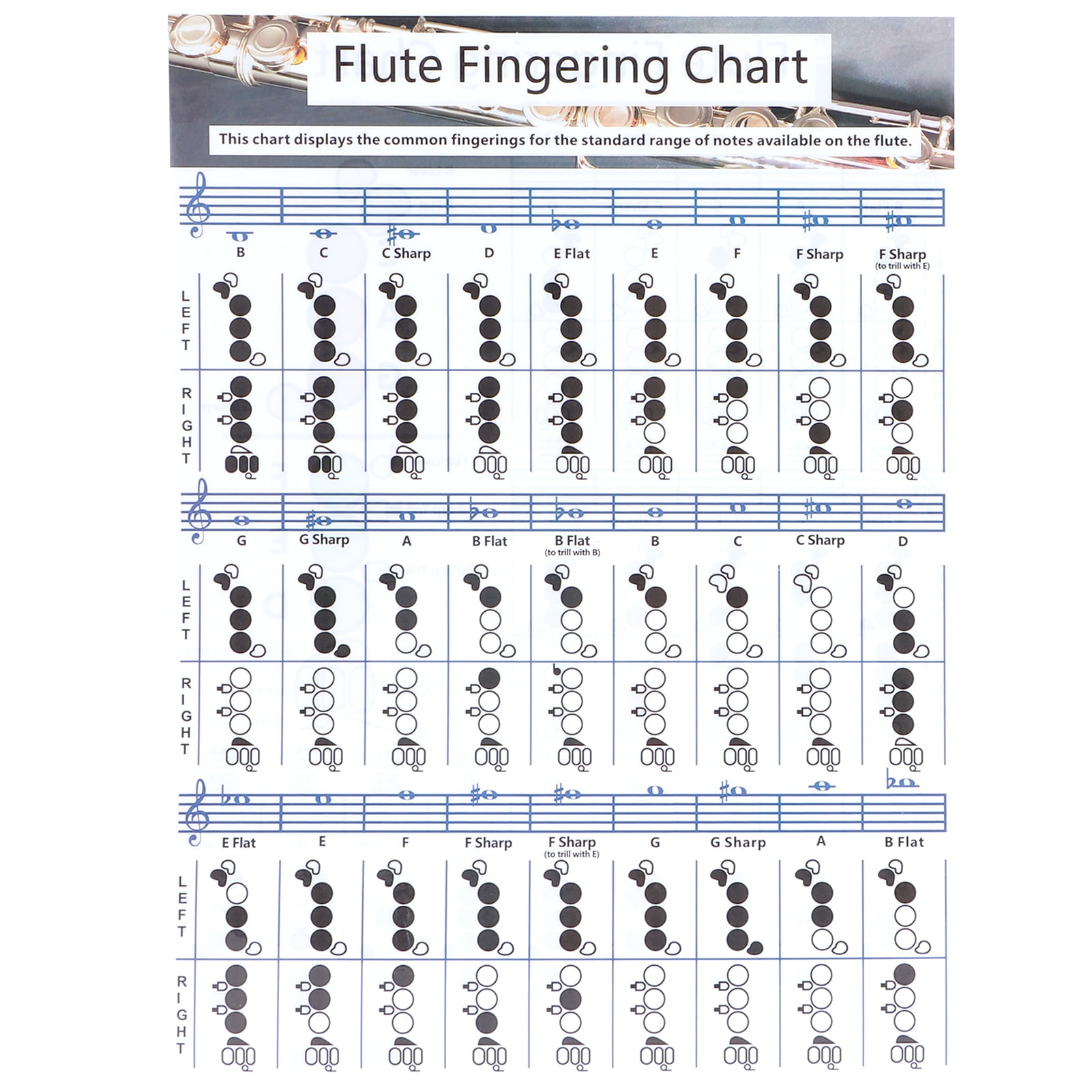 1601px x 1601px - Octpeak Flute Fingering Chart,Flute Fingering Practice Chart,Flute Fingering  Chord Chart Beginner Student Practice Teaching Aids Instrument Accessories  - Walmart.com