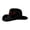 Black-Y6, variant on Homeyce Cowboy Hat for Women and Men American Flag Patriotic USA Western Hat 4th July Cowgirl Country Rodeo,White