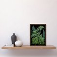 thumbnail image 2 of Fern Fronds Ernst Haeckel Style Dark Illustration Artwork Framed Wall Art Print A4, 2 of 4