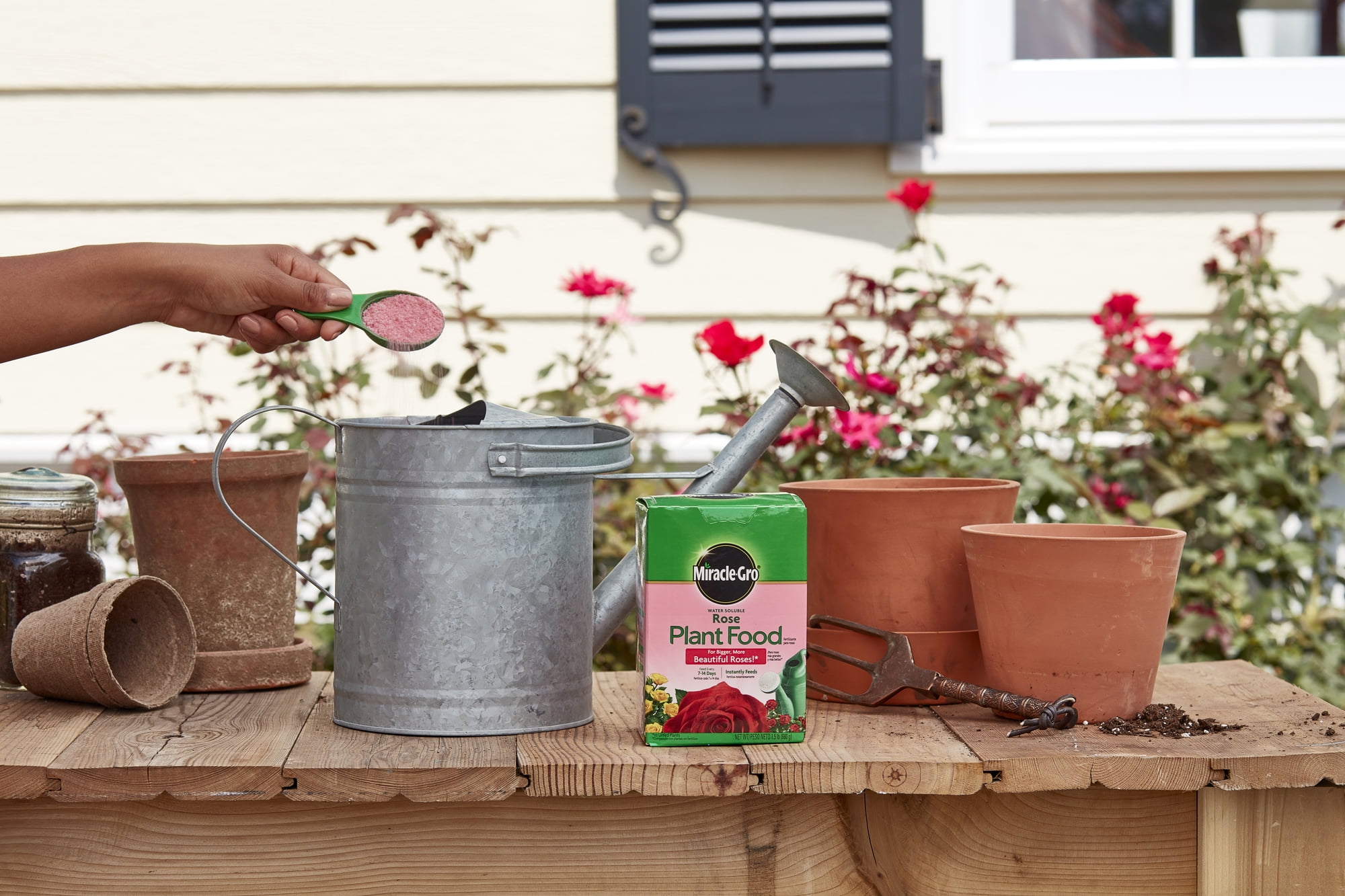 Miracle-Gro Water Soluble Rose Plant Food, 1.5 lbs., 2-Pack, Feeds Instantly