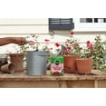 thumbnail image 6 of Miracle-Gro Water Soluble Rose Plant Food, 1.5 lbs., 2-Pack, Feeds Instantly, 6 of 11