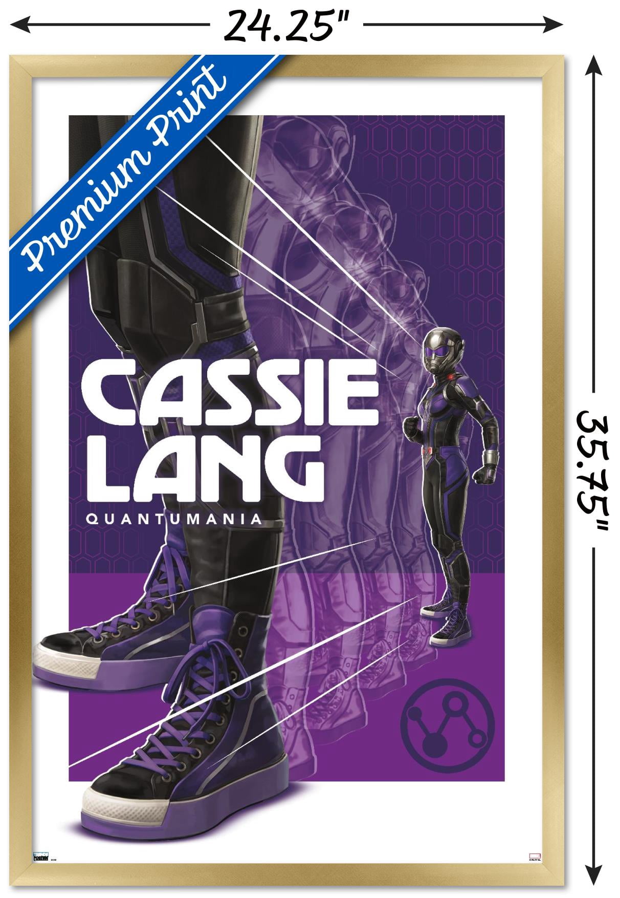 Marvel Ant-Man And The Wasp: Quantumania - Cassie Lang Wall Poster, 22.375" x 34" Framed