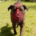 thumbnail image 1 of Comfortable and Breathable Muzzle Say to Random Biting Let Your Happily Go Out and Enjoy Walks!, 1 of 2