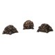 thumbnail image 5 of 3 elevadores para macetas, patas decorativas de resina para macetas, elevadores para macetas, animales Tortuga 6x3.8x2.8cm, 5 of 9