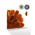 thumbnail image 2 of Burnt Orange Wall Art for Living Room,Canvas Picture Wall Decor for Bathroom Bedroom,Sparkle Gold Stained Floral Flower Art Painting Artwork for Office Kitchen Hallway Dining Room Home Decor 16"x20", 2 of 8