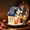 A, variant on Halloween Lighted House - Ceramic Glowing Figurine for Tabletop, Mantel, and Window Decor
