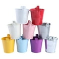 thumbnail image 3 of Worgeous 9Pcs Mini Metal Buckets Flowerpot Tinplate Home Gardening 3In, 3 of 8