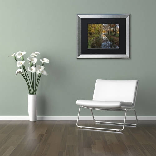 Trademark Fine Art 'Take me to the Pond' Canvas Art by Michael Blanchette Photography, Black Matte, Silver Frame