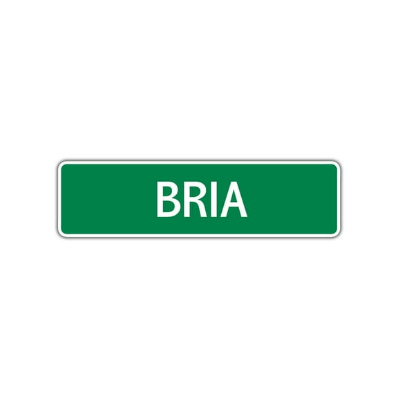 Bria Girls Children Name Letter Printed Label Indoor Outdoor Unique Wall Plaque Decoration Novelty Aluminum Metal Sign 4"x13.5"