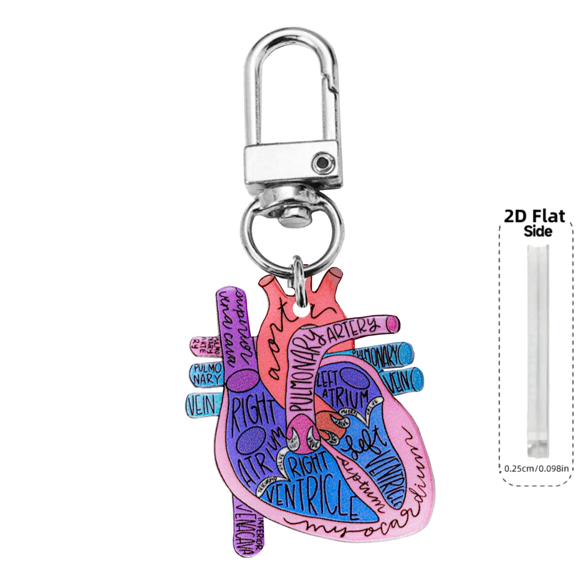 Nurse Theme Letter Anatomical Heart Diagram Keychain Doctors Prefer Key Ring