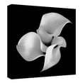 thumbnail image 4 of Floral 26 Calla Lily By Michael Faragher Canvas Art Print 30" x 30", 4 of 4