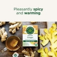 thumbnail image 3 of Traditional Medicinal Ginger, Organic Tea Bags, 16 Count, 3 of 7