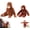18cm/7.09in, variant on Punch Monkey Plush, Large Orangutan Teddy Soft Toy, Monkey Stuffed Animal Doll, Washable & Safe for Birthday Party Decor