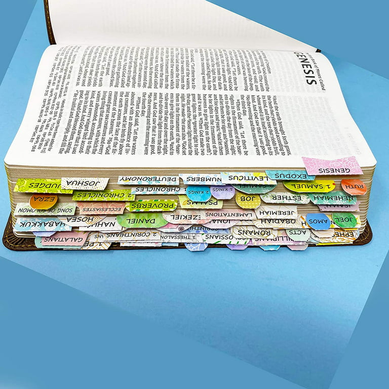  The Bible Study Pen - Carded : Bible Tabs : Office Products